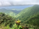 Wanderung auf Dominica_1